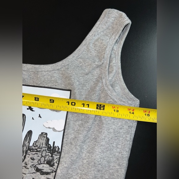 Obsessive Love Gray Cacti Desert Cropped Tank Top Size XL EUC - Picture 5 of 7